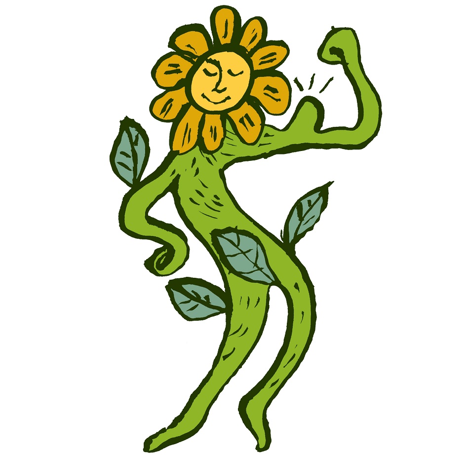 "Plantes immortelles"