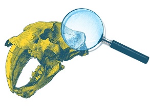 "Énigmes au Muséum"